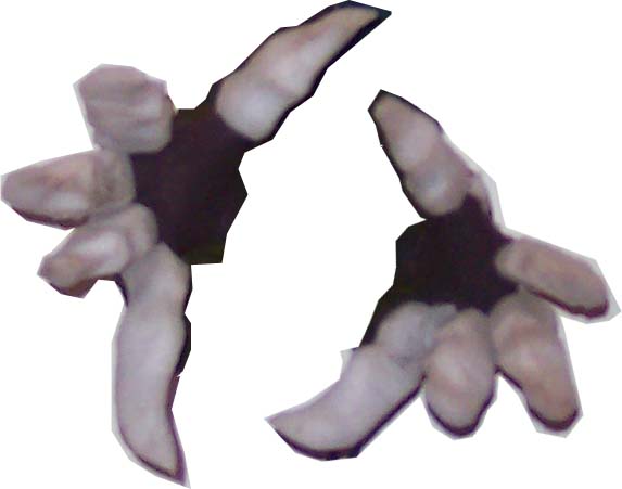 Claws